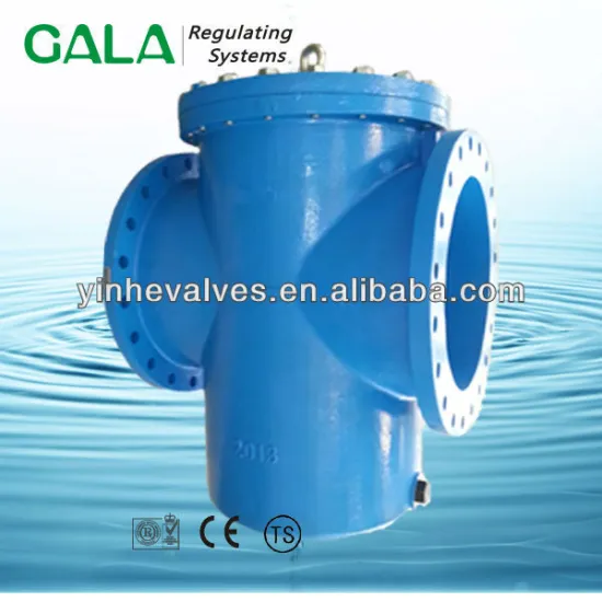 DN500 water basket strainer