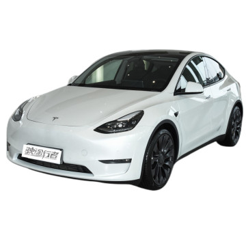 Affordable Luxury: Long Range, High-Speed Tesla Model Y and Chinese Electric Sports Cars