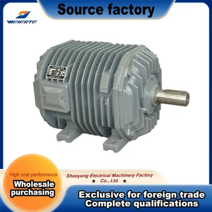 S1 Continuous Duty Roller Motor for Port Logistics