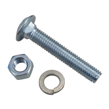 Shop for DIN 603 M6, M8, M10, and M12 Steel Round Head Square Neck Carriage Bolts Online