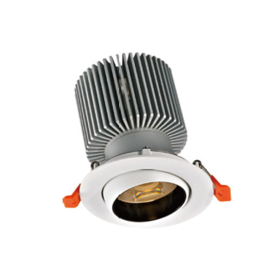 Powerful Brilliant Lighting 30W LED Downlight