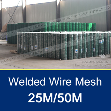 25M/50M Green Color Welded Wire Mesh Factory