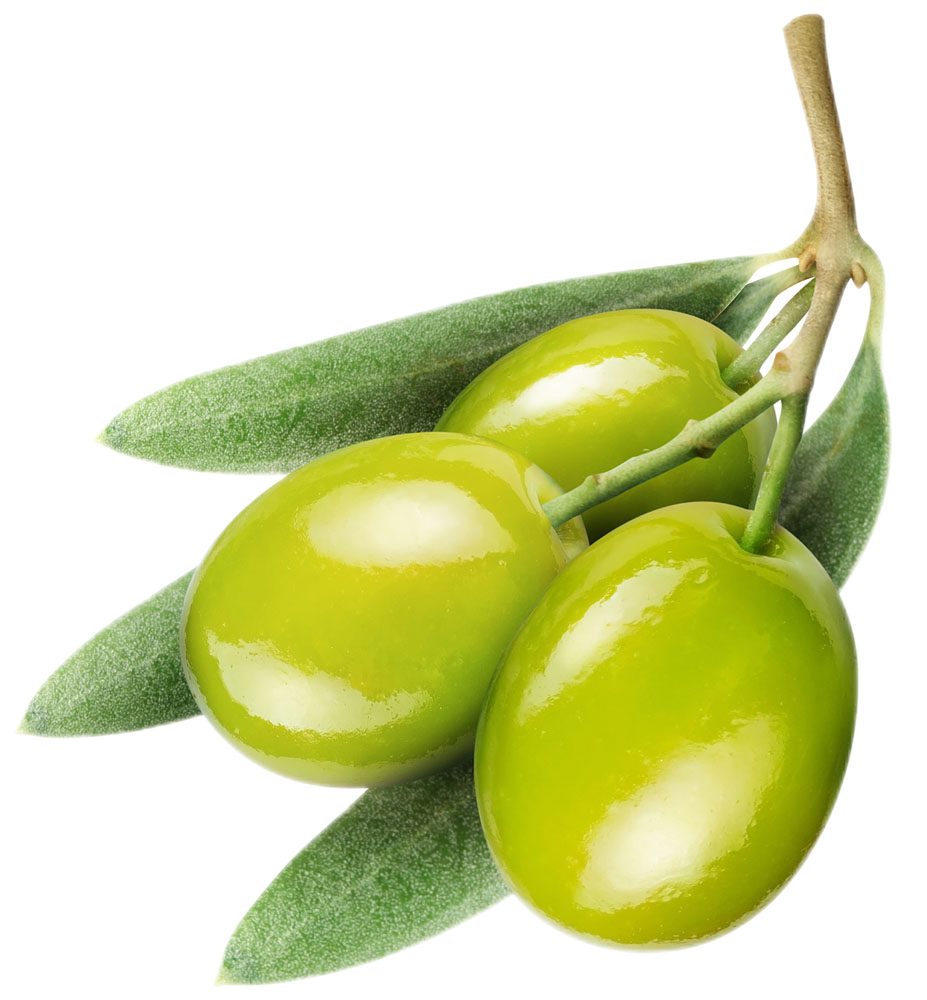 Olive Leaf extract