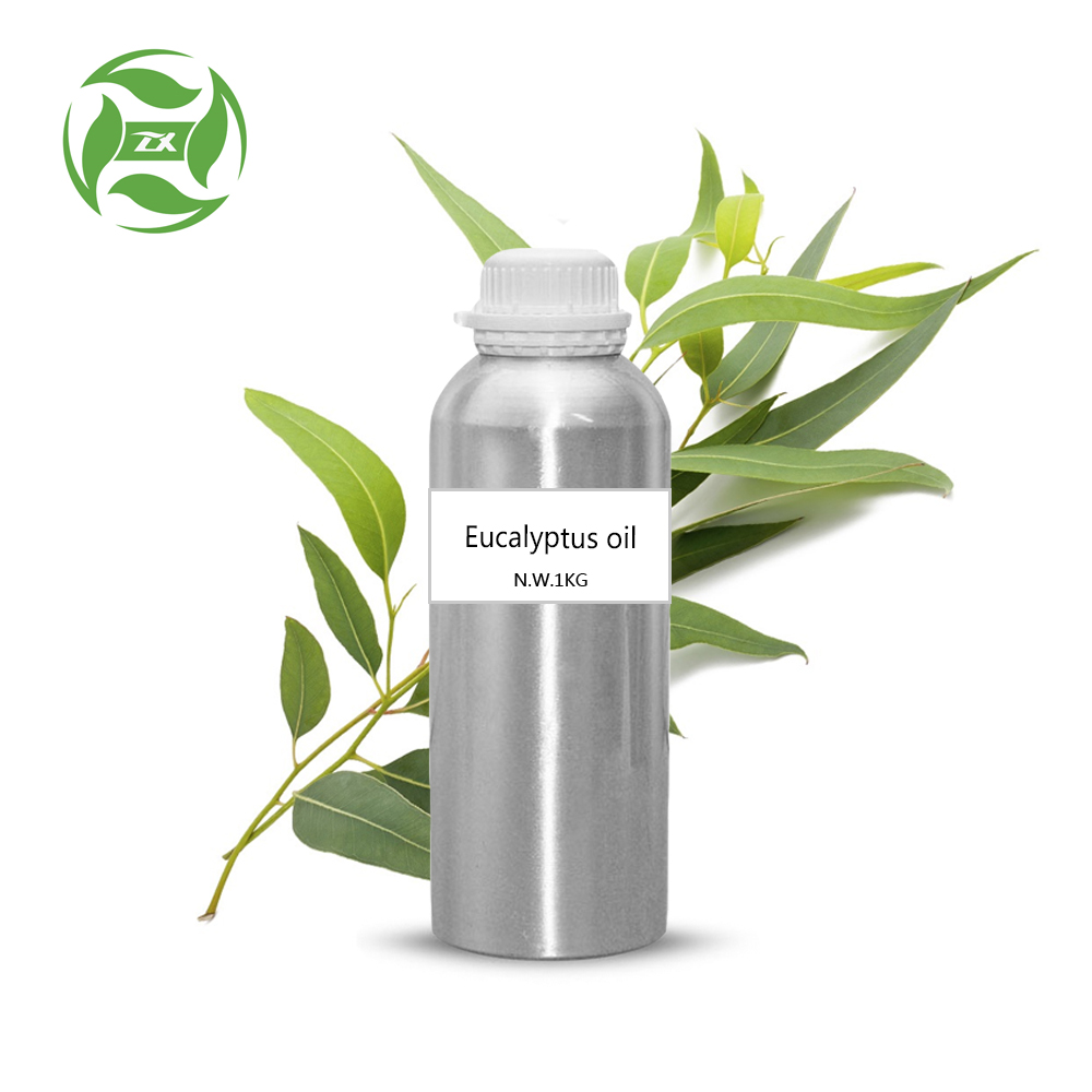 100% pure natural eucalyptus oil wholesale bulk