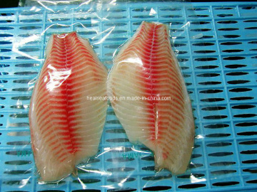 Frozen Tilapia Fillet
