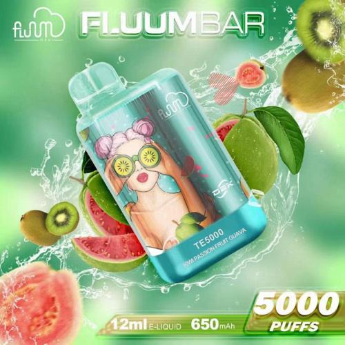 Fluum bar TE5000 12 ml wiederaufladbar weiße Label