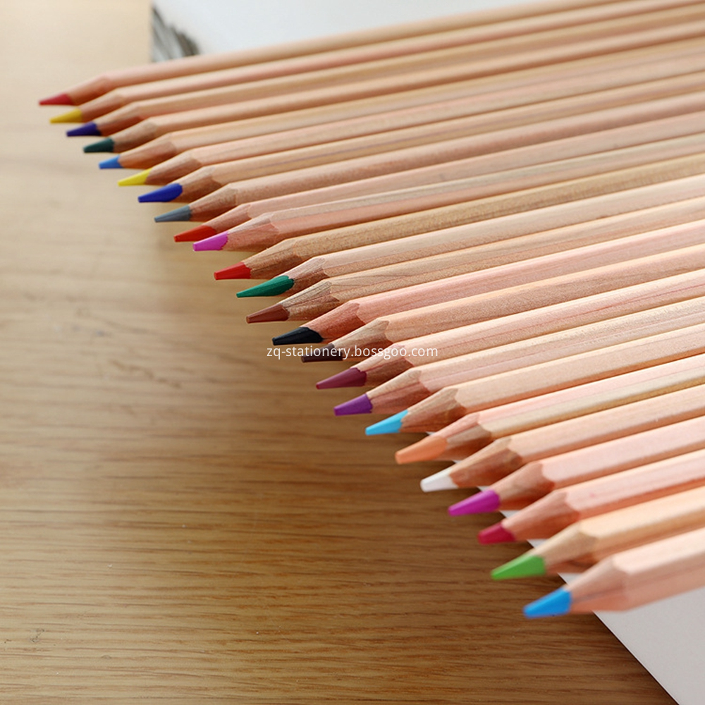 Paper Tube Pack Colour Pencils