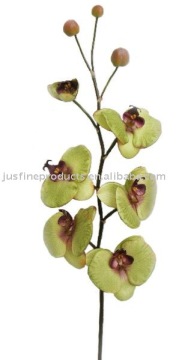 Silk Orchid ( Phalaenopsis with 6 Flowers and 3 Buds )