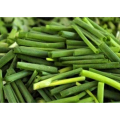 Premium Natural Antioxidant & Culinary Powder: Green Onion Extract - Enhances Feed Utilization