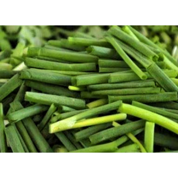 Premium Natural Antioxidant & Culinary Powder: Green Onion Extract - Enhances Feed Utilization