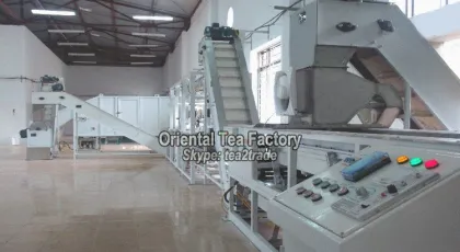 Chinese Organic Health Premium Famous Green Tea