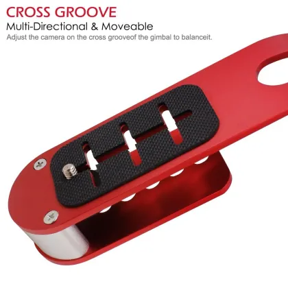 Handheld Video Camera Stabilizer Steady Cam" could be succinctly titled as:

"Handheld Video Stabilizer Cam