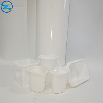 1mm thickness food grade plastic HIPS sheet