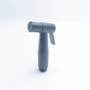 Black Stainless Steel Wall-Mounted Toilet and Shower Push Flusher