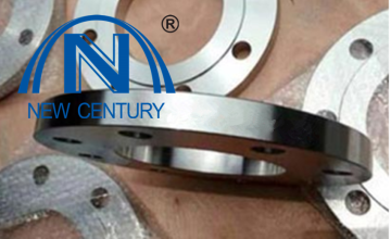 BS3293 STANDARD FORGED FLANGE