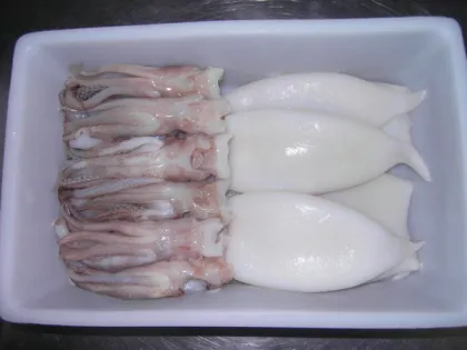 Frozen squid Tentacle + Tube ,frozen calamari T&T