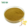 Ginkgo Leaf Powder Ginkgo Biloba Folium Extrait