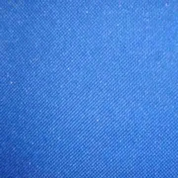 600*300D-68T Fabric with PVC Backing