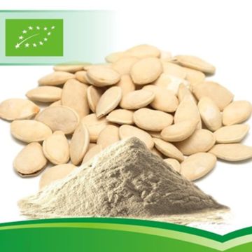 Organic Pumpkin Seed Protein