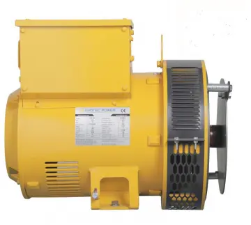 Brushless Three Phase pmg Motor Generator