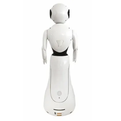 Female Customer Service Receptionist Robot Automation Assistant