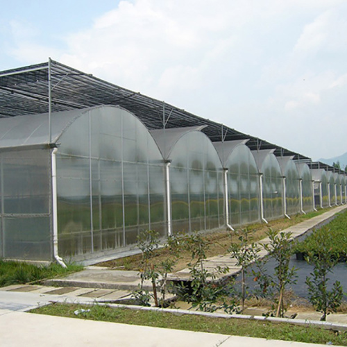 Green Poly Multi-Span Arch PC Greenhouse