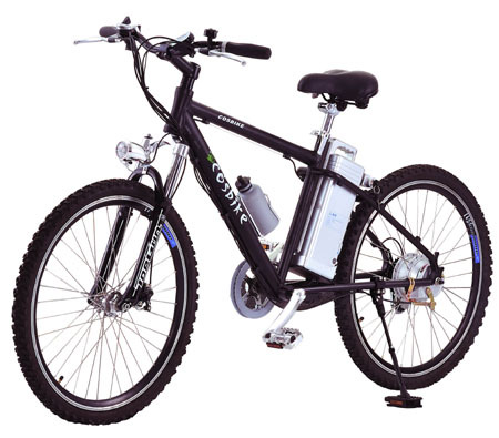 Electric Bicycle (XFB-021)