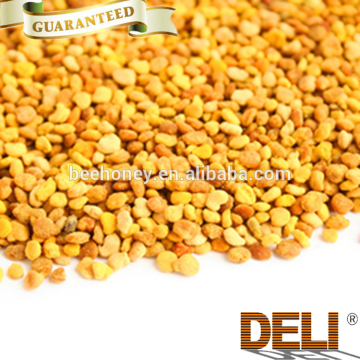 Fresh and newest Buckwheat pollen in bulk
