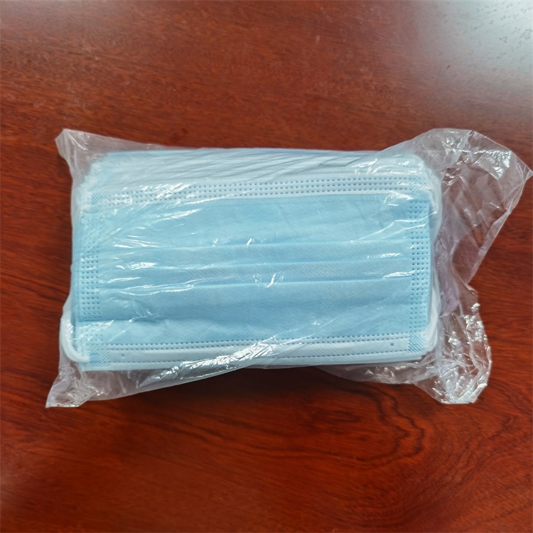 Disposable Protective Mask