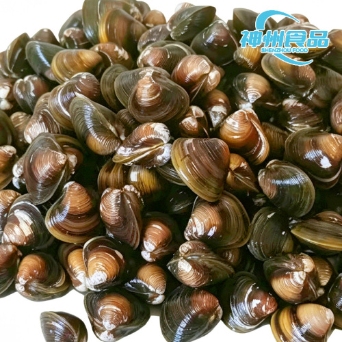 Vongole di lago raccolte in modo sostenibile con processo di pelatura