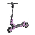 ADAURK SCOOTER SCOOTER 2 WHEEL POWERFASI