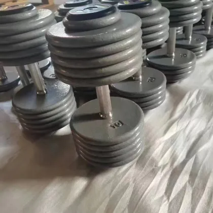 Professional Fitness Equipment: Adjustable Dumbbells 2.5kg-50kg