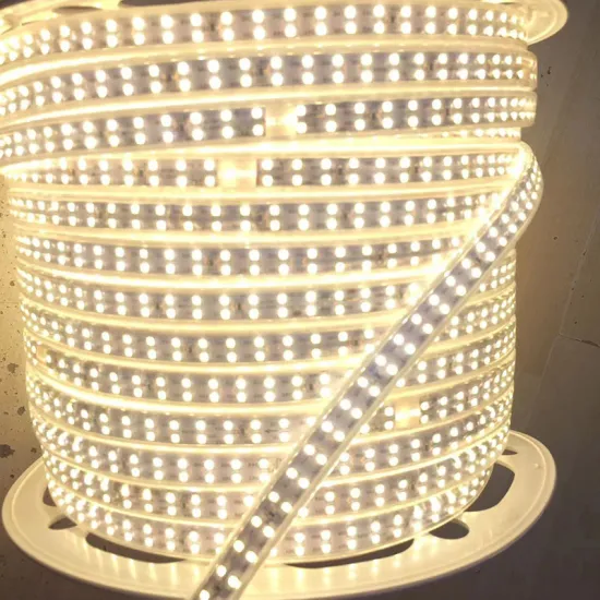 5V-220V Warm White LED Neon Rubber Silicone Strip Lights: Flexible, Cuttable, and D-Type