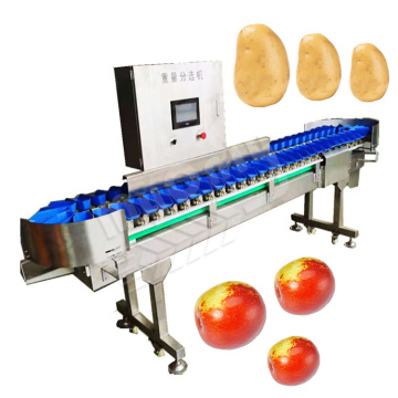 MYONLY Automatic Prawn, Shrimp, Chicken, and Fruit Weight Sorting Machine Line