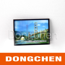 Hot Sell Home appliance 3D lenticular picture