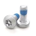 Anti-Theft Pan Head Screw M5-0.8*12 Non-Standard Fastener