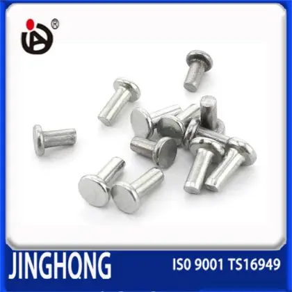 High Quality Non-Standard Flat Head Solid Rivet                        
                                                Quality Choice