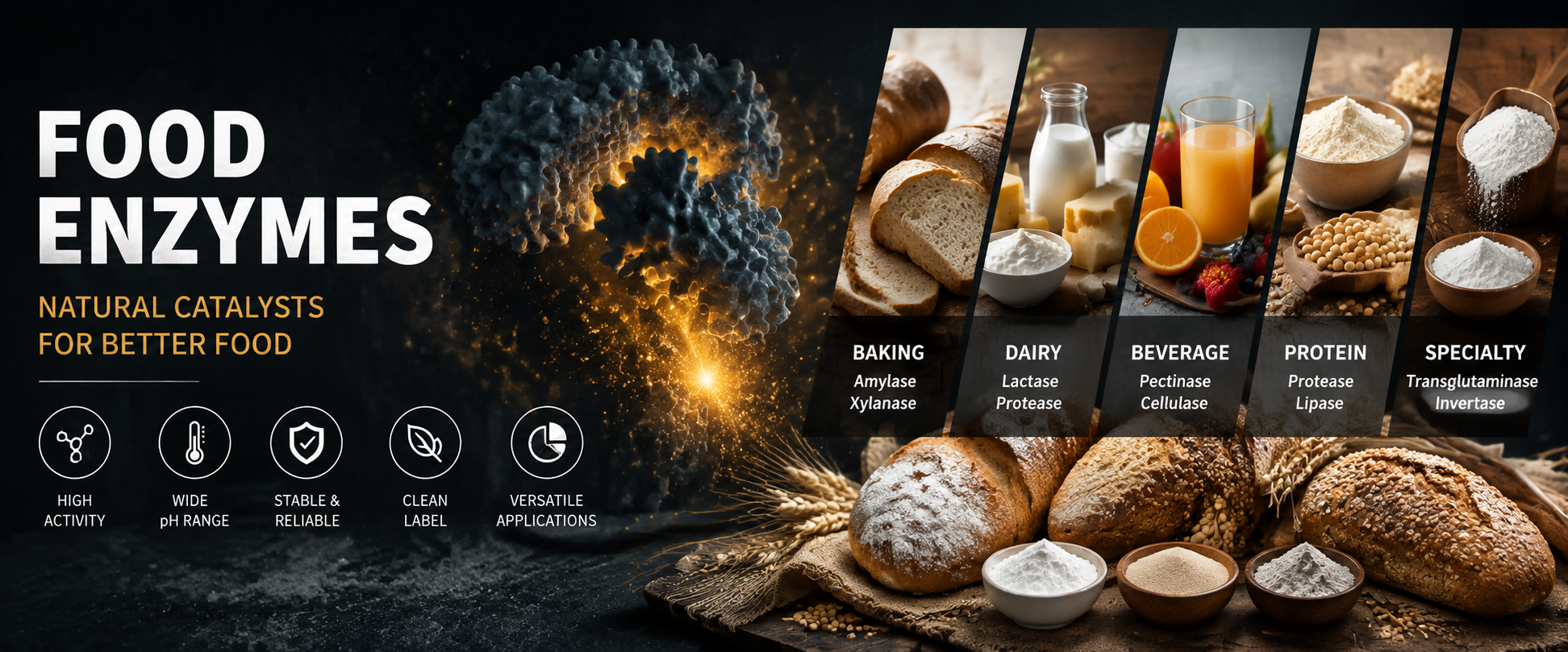 Food enzymes
