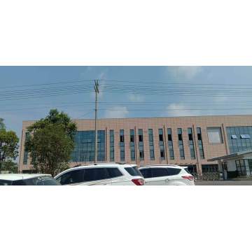 Muro cortina de vidrio de la escuela secundaria Damao