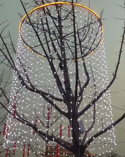 Colorful LED Ball Fairy Light Display for Disco