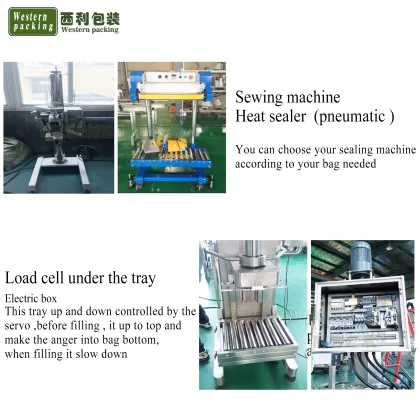 Seasoning and Dry Spice Powder Bottle Filling Machine