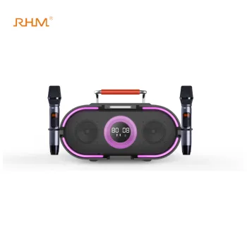 RM-K666 Plus: Hot Selling Professional All-in-One Karaoke Speaker with Strobe Gradient Light