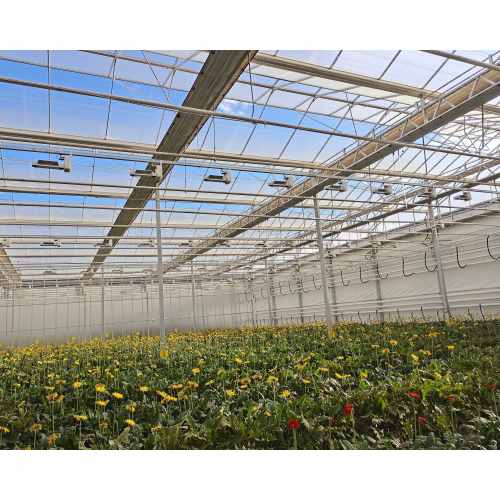 Butterfly Full Length Window Glass Greenhouse