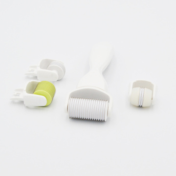 DNS 4 in 1 Face Needling Roller Kit