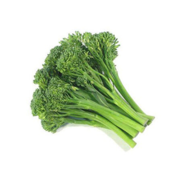 Tender Broccolini Stems for Chefs