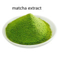 Buy online active ingredients matcha extract powder