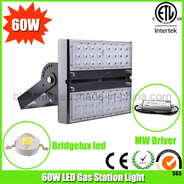 60W Retrofit Modular LED Gas Station Light