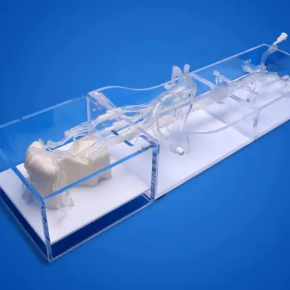 Silicone Neuro Vessels