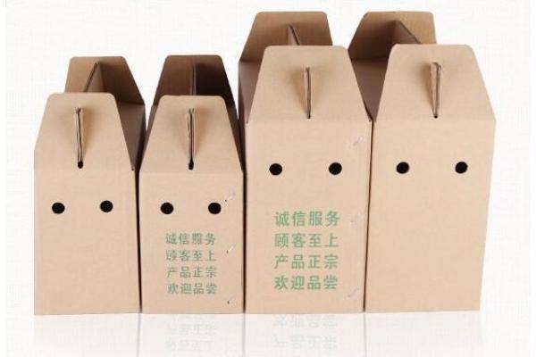 Corrugated Board Folding Standard Export Carton Box Package