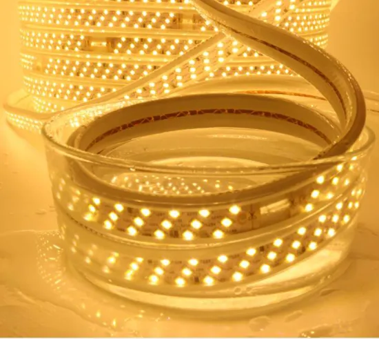 220V SMD2835 LED Strip Lights for Home Decoration - 100m Flexible IP67 Strip Light